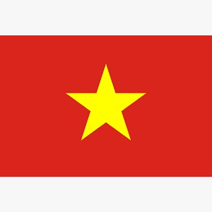 ベトナム人　ベトナム語　就職　転職　求人